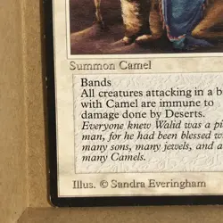 MTG ~ Camel ~ ARB Arabian Nights ~ 1993 English ~ Summon Camel ~ Common ~ MP - Image 2