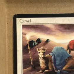 MTG ~ Camel ~ ARB Arabian Nights ~ 1993 English ~ Summon Camel ~ Common ~ MP - Image 3