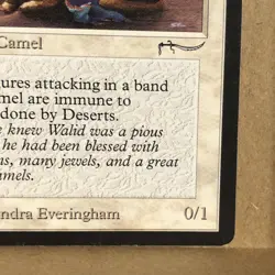 MTG ~ Camel ~ ARB Arabian Nights ~ 1993 English ~ Summon Camel ~ Common ~ MP - Image 4