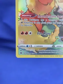 Pokemon Brilliant Stars Flareon TG01/TG30 Trainer Gallery Illustration Art -2 - Image 5