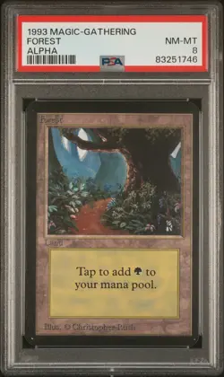 Forest - Alpha - MTG - NM to MINT - PSA 8. - Image 1