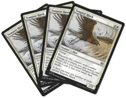 4x Tempest Hawk - 0031 - Tarkir Dragonstorm - MTG - NM/M - Playset - Image 1