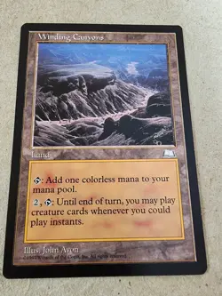 Winding Canyons - Weatherlight Regular - Mtg - Image 1