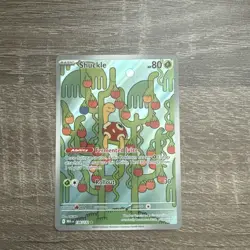 Shuckle 136/132 - ME01: Mega Evolution Pokemon Illustration Rare Holo NM - Image 1