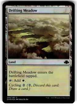 FOIL MTG NM Drifting Meadow Dominaria Remastered - Image 1