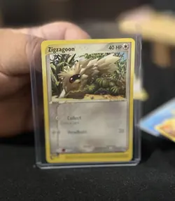 2003 Zigzagoon - ex Sandstorm Common 85/100 NM Pokemon - Image 5