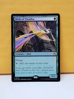 1 FOIL Birds of Paradise, NM, Ravnica Remastered (RVR), Magic the Gathering, MtG - Image 2