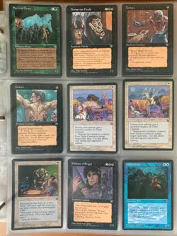 Magic the Gathering (MTG) Homelands (HML) Complete Set 140/140 cards LP-MP - Image 4