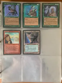 Magic the Gathering (MTG) Homelands (HML) Complete Set 140/140 cards LP-MP - Image 5