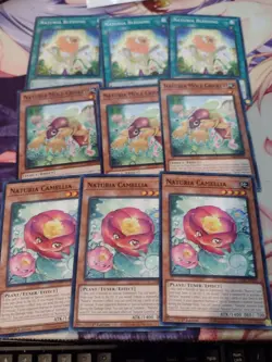YU-GI-OH! 3x Naturia Core: Mole Cricket, Camellia, Blessing NM DABL - Image 1