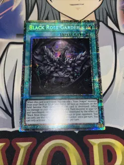 DOOD-EN055 Black Rose Garden Starlight Rare 1st Ed YuGiOh - Image 1