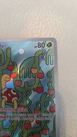 Shuckle 136/132 - ME01: Mega Evolution Pokemon Illustration Rare Holo NM - Image 3