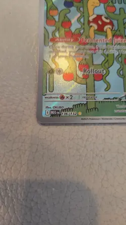 Shuckle 136/132 - ME01: Mega Evolution Pokemon Illustration Rare Holo NM - Image 4