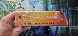 Ravnica Remastered Collector Booster Box (NEW Sealed Box) Magic the Gathering - Image 5
