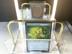 MTG TCG: Hazardroot Herbalist 174, Bloomburrow NM - Image 1