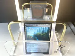 Dismal Backwater (254) Tarkir: Dragonstorm TDM MTG Magic - Image 1