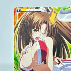 QG067 Body injury MAI SHIRANUI Queen's Blade The Duel system Trading Card SNK - Image 2