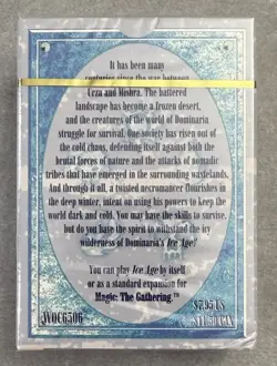 Wizards of the Coast Magic: The Gathering Ice Age Starter Deck 792491047595 - Image 2