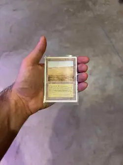 Savannah Revised Edition Regular - Image 3