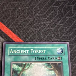 Yu-Gi-Oh! 1st Edition Ancient Forest #ANPR-EN048 Light Play - Image 3