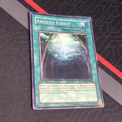 Yu-Gi-Oh! 1st Edition Ancient Forest #ANPR-EN048 Light Play - Image 5