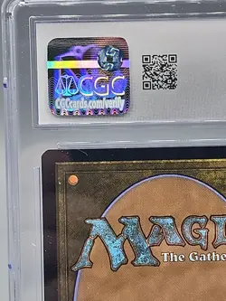 City on Fire NM Borderless FOIL MTG Secret Lair D&D CGC 10 - Image 3