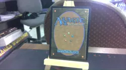 seedborn muse mtg - Image 2