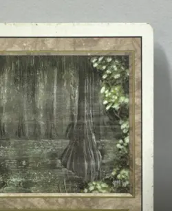 Bayou Revised MTG Magic: The Gathering Dual Land Card EDH Vintage Reserve List - Image 4