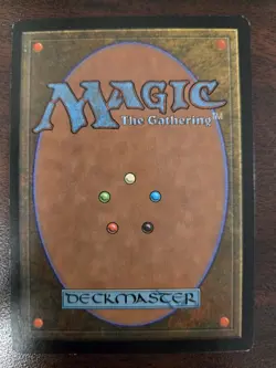 Fruition LP Portal MTG FREE SHIPPING - Image 2