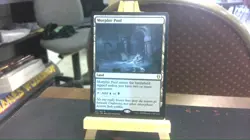 morphic pool mtg - Image 1