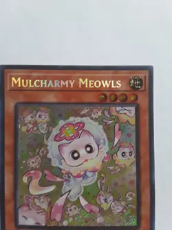 Mulcharmy Meowls SUDA-EN025 Secret Rare Yugioh 1st Edition - Image 5