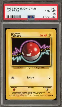 Pokemon Voltorb Base Set Unlimited #67 PSA 10 Gem Mint - Image 1