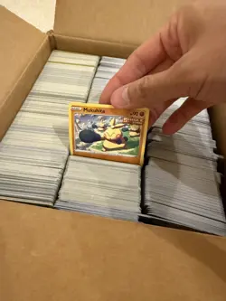 Pokemon TCG - 2000 Mint Bulk Common Basic Cards (Non Holo) - Multiple Sets - Image 3