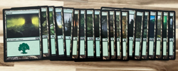 20 Magic The Gathering Basic Lands, Forest No Duplicate Land Art - Image 1