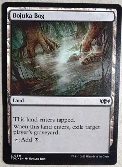 Bojuka Bog - Commander : Tarkir: Dragonstorm (TDC) - Common Regular - NM - MTG - Image 1