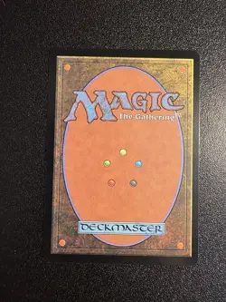 MTG Fierce Guardianship Regular - Image 2