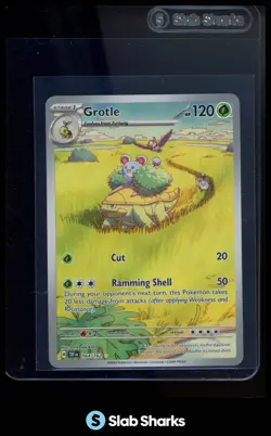 2024 POKEMON SV TEMPORAL FORCES - TEF EN #164/162 GROTLE ILLUSTRATION RARE - Image 1