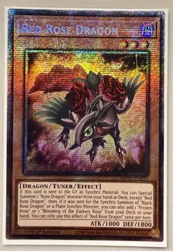 Yugioh! 1x Red Rose Dragon MP25-EN037 Starlight Rare 1st Ed NM - Image 1