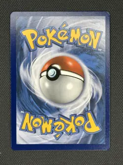 2022 Pokemon Charizard VSTAR SWSH262 and Charizard V 260 Black Star Promo UPC - Image 2