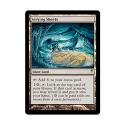 WOTC MtG Coldsnap Scrying Sheets (R) EX - Image 1