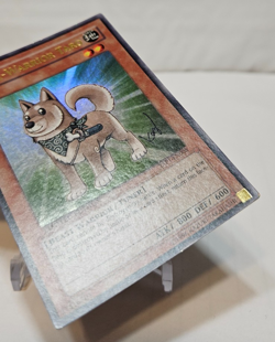Shiba Warrior Taro YAP1-EN008 Ultra Rare Limited Edition Promo Yugioh 7793 - Image 5