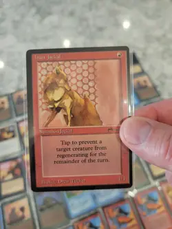 Arabian Nights MTG 45 Card Lot LP/NM- - Image 5