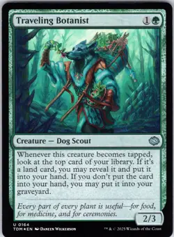 Traveling Botanist U Tarkir: Dragonstorm # 164 NM Foil - Image 1