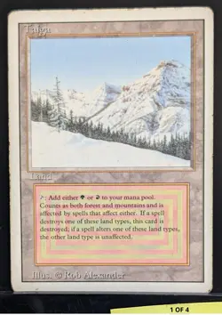 MTG, Taiga, Revised Edition, Regular, (COPY #1 of 4) - Image 1
