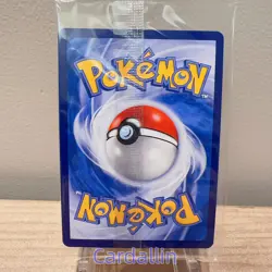 New Sealed Pokemon TCG S-Chinese Charizard Vmax Promo card 080/S-P Holo Alt Art - Image 3