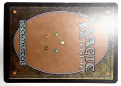 TIME SPIRAL TIMESHIFTED FOIL 19 DANDAN LIGHT PLAY MAGIC THE GATHERING - Image 5