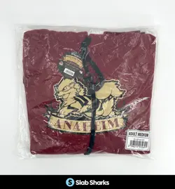 POKEMON CENTER WORLD CHAMPIONSHIPS ANAHEIM 2025 SEALED PULLOVER HOODIE - Image 1