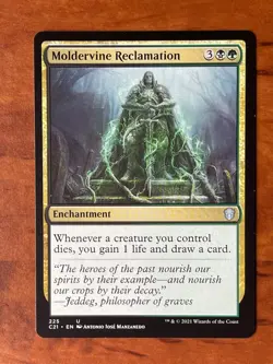 Moldervine Reclamation MTG Magic the Gathering Card NM Near Mint C21 - Image 1