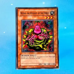 YUGIOH WODAN THE RESIDENT OF THE FOREST Common TP1-E027 Lightly Played LP - Image 1