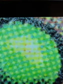 Forcefield Unlimited Mtg Reserve List. Look At Photos! Green Dot Scan Included. - Image 3